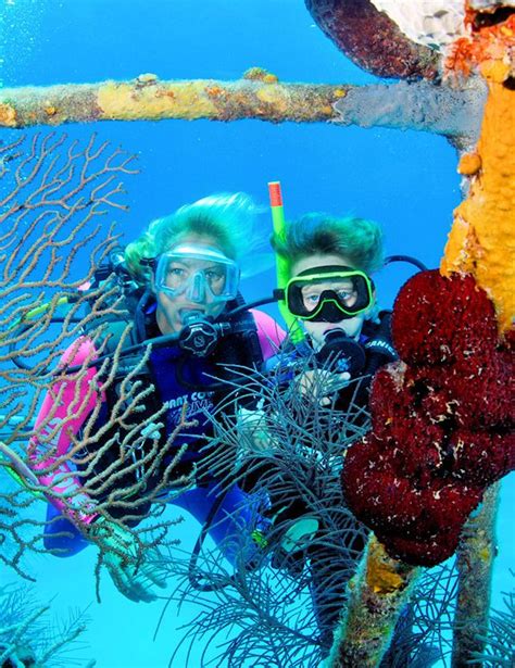 Nassau Learn To Dive Course Nassau Bahamas Shore Excursions Diving