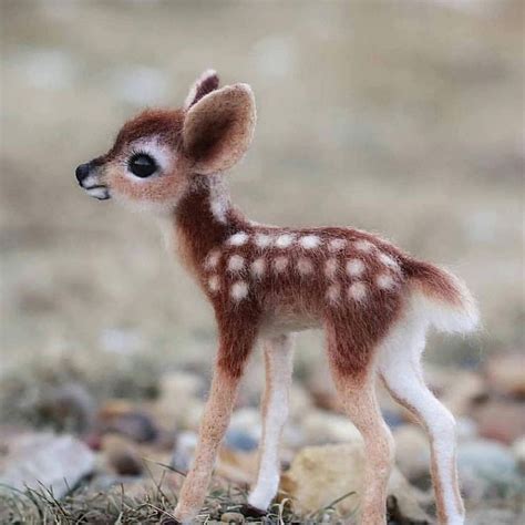 Baby Bambi Cuteness Overload Tag Your Friends Baby
