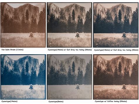 An Introduction To Photography Techniques Cyanotype