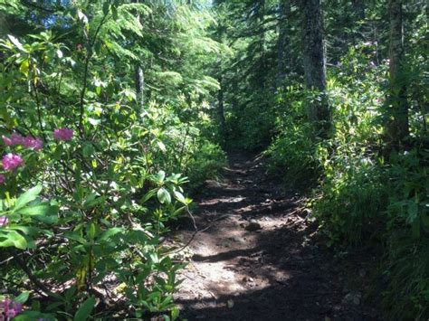 This Underrated Trail In Oregon Leads To A Hidden Turquoise Lake Lost