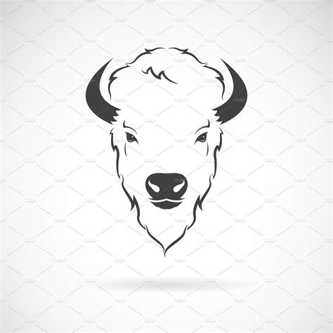 Vector Of A Buffalo Head Design Outline Icons ~ Creative Market