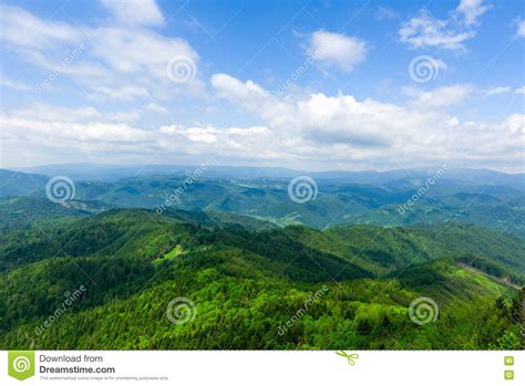 Beautiful Green Mountain Landscape With Trees Stock Image Image Of