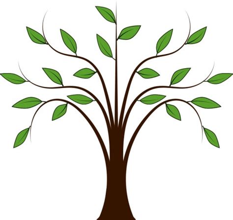 Cartoon Tree With Leaves And Branches Clipart Best Clipart Best