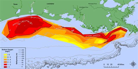Larger Than Expected Summer ‘dead Zone Measured In Gulf Of Mexico