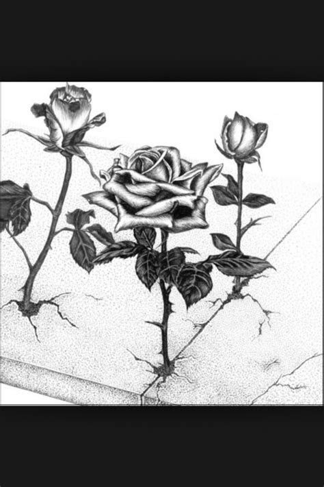 A large tattoo of three roses together. Tupac ( the rose that grew from concrete ) | Concrete rose ...