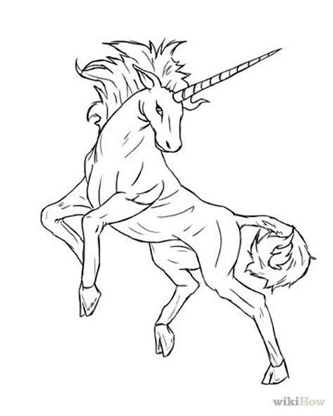 Pin on unicorn