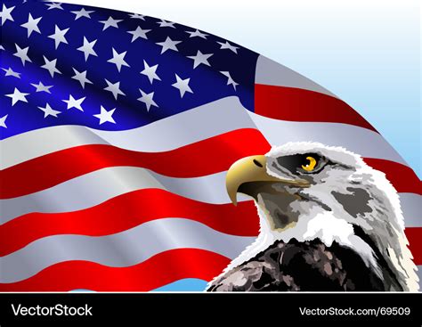 bald eagle american flag svg