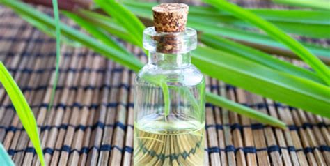 Soothe Summer Skin Rashes With These Essential Oils F