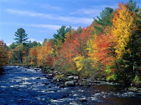 44 New England Fall Foliage Wallpaper