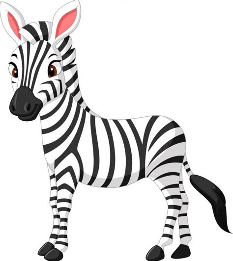 Premium Vector Cute Zebra Cartoon Dibujo De Cebra Cosas De Cebra