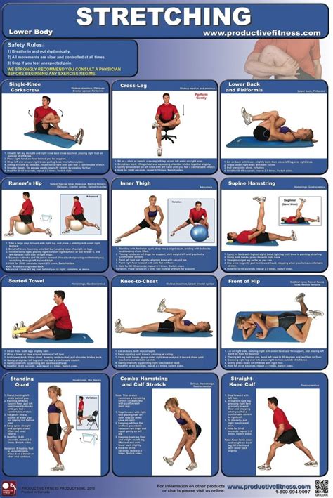 Back Stretches Posters Home Stretching Lower Body Fitness Poster