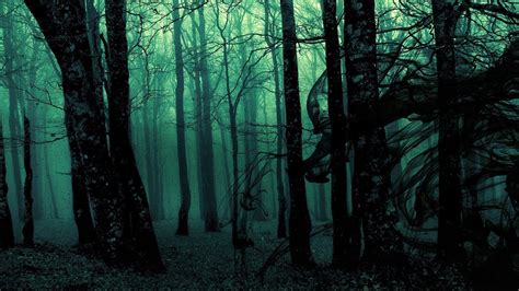 Gothic Forest Wallpapers Top Free Gothic Forest Backgrounds