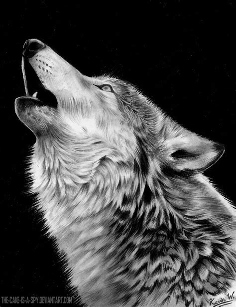 Wolf Howling At Moon Sketch At Explore Collection