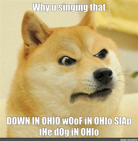 Meme Why U Singing That Down In Ohio Woof In Ohio Slap The Dog In