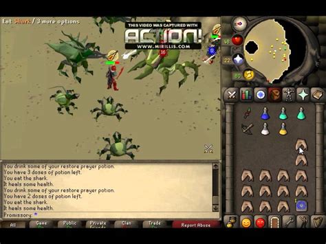 I hope, by some incredible miracle, that this guide helps experienced and new players alike. OSRS Kalphite queen (lvl 333) Duos 1 - YouTube