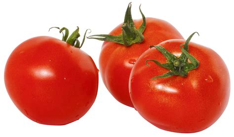 Tomato Hd Png Transparent Tomato Hdpng Images Pluspng