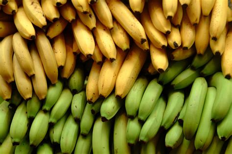 16 Proven And Surprising Health Benefits Of Banana A Fruit Loved By All