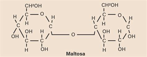 Tuliskan Rumus Struktur Dari Senyawa Sukrosa Malt Vrogue Co
