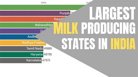 Largest Milk Producing States In India 2001 2019 Data Visualization