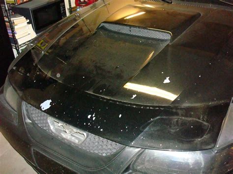 Maybe you would like to learn more about one of these? 2002 Ford Mustang Paint Peeling: 10 Complaints
