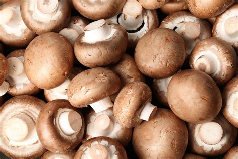 Rising Interest In Growing Mushrooms At Home Foodprint