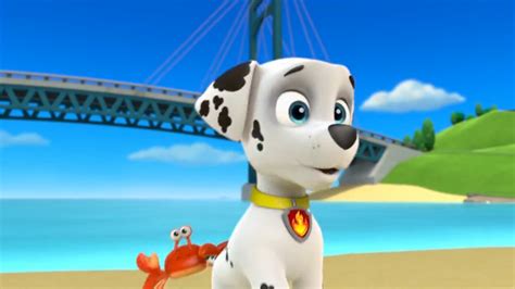 Marshall Marshall Paw Patrol Photo 40156595 Fanpop