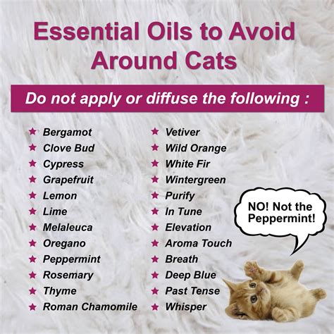 Here's what cat parents need to know. Essential Oil for Pets - Lemon 15ml (Young Living) - A2Z Hub
