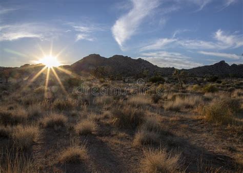 Sunset At Joshua Tree National Park California Stock Photo Image Of