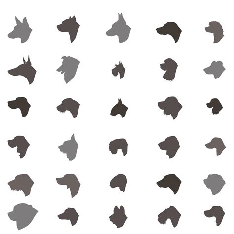 Dog Head Silhouette Icon Set Different Dos Breed Sign 524447 Vector Art
