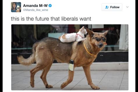 15 Of The Best This Is The Future Liberals Want Memes Photos