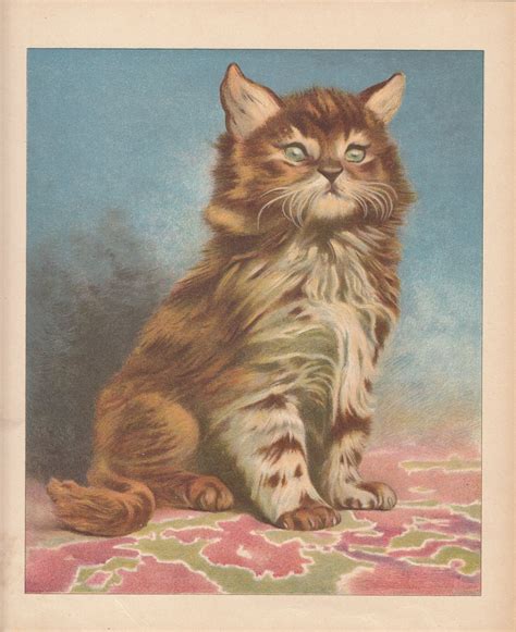 Victorian Paintings Of Cats Cat Bhw
