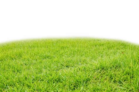 Premium Photo Mound Slope Green Grass