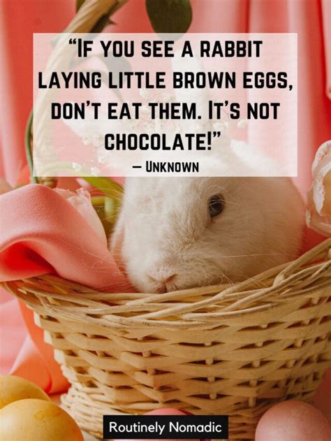 Funny Easter Quotes Funny Easter Sayings Routinely Nomadic