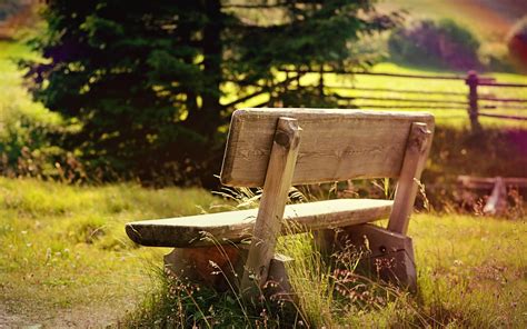 Man Made Bench Hd Wallpaper