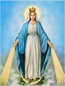 Solemnity of the Immaculate Conception – St Justus