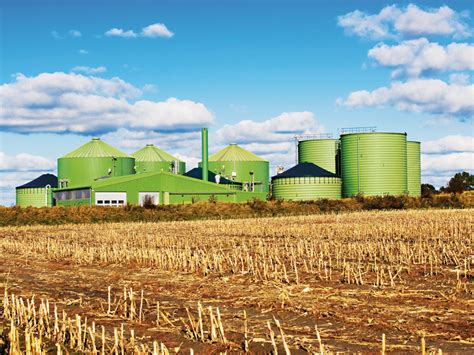 Biofuel Offers A Solution To The Worlds Renewable Energy Crisis The