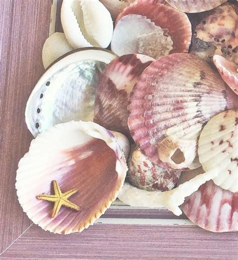 Several Seashells And Starfish In A Wooden Box