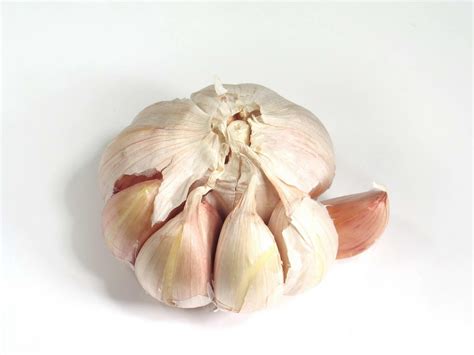 Garlic Wallpaper HD Download