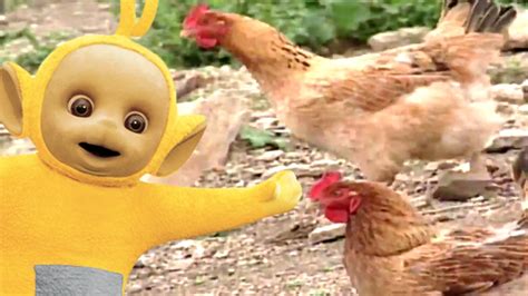 Teletubbies Feeding Chickens Portugal 103 Videos For Kids Youtube