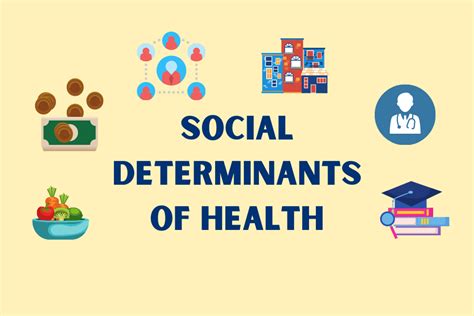 Social Determinants Of Health 1 The Dayton Foodbank