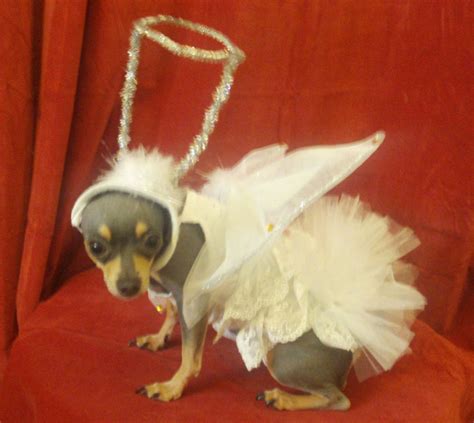 Christmas Wedding Angel Dress With Crystal Pearl Beads Wings Halo Tutu