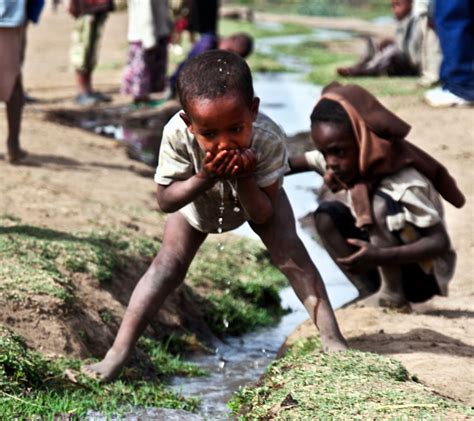 Brainless Brains Problem Of Water Scarcity And Lack Of Hope