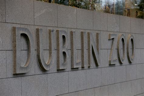 Dublin Zoo Slashing Price Of Admission Tickets By 50 Per Cent For Next