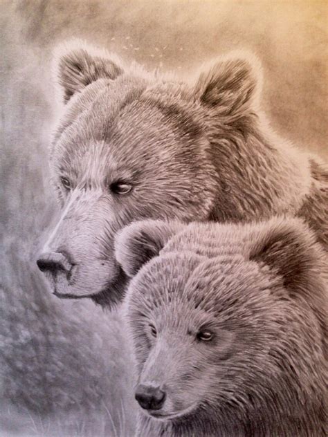 Grizzly Bear And Her Cub Pencil Portrait By Ned The Hat On Deviantart