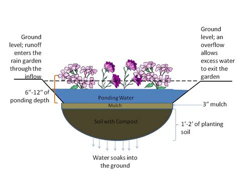 Rain Gardens Official Website Of Arlington County Virginia Government