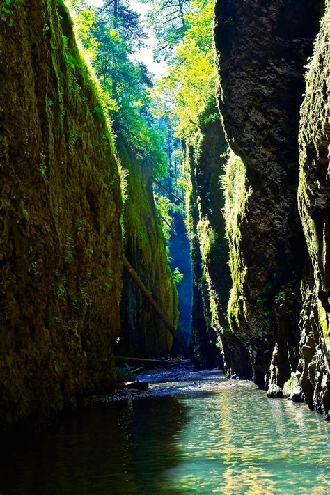 The Beautiful Oneonta Gorge Oregon 2912 × 4369 Oc Rimagesoforegon
