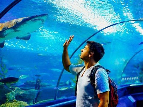 Universal Studios Singapore Aquarium Holiday Tour