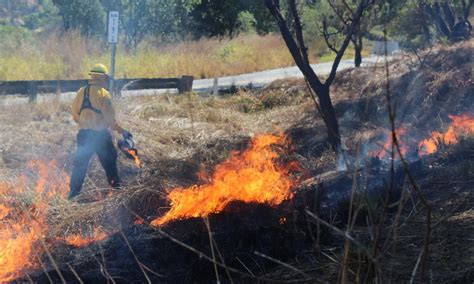 Video Así Se Ven Los Incendios Forestales En México Desde El Espacio