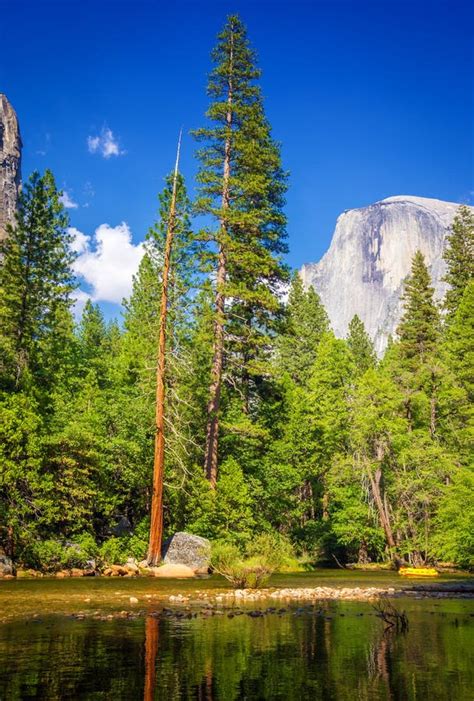 Yosemite National Park California Usa Stock Image Image Of Forest