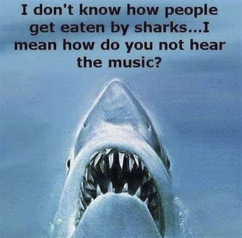 Funny Mems Baby Shark